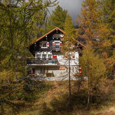 I Larici - Appartamento Per Sognare Alpe Devero Bagian luar foto