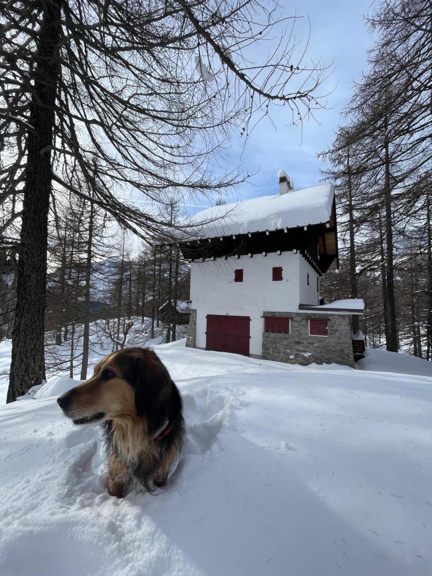 I Larici - Appartamento Per Sognare Alpe Devero Bagian luar foto